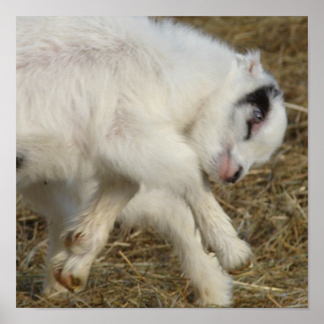 Affiche Jeux Amigo (Devant)