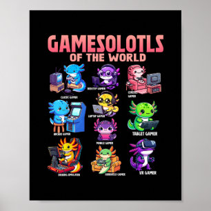 Affiche Jeux de salamandres du monde Divers gamer axolotl
