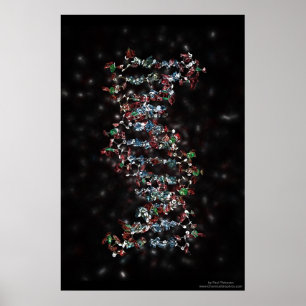 Affiche Jewelled DNA