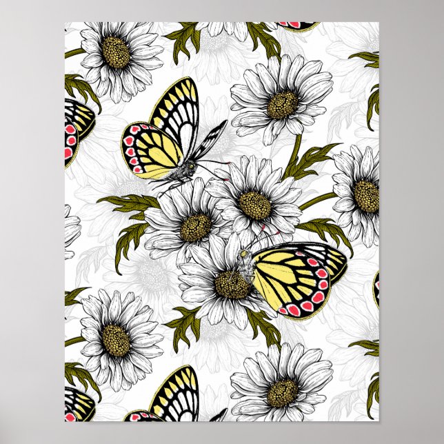 Affiche Jezebel butterflies and daisy flowers on white (Devant)