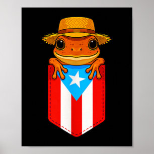 Affiche Jibaro Coqui Frog Porto Rico Drapeau Boricua Cket