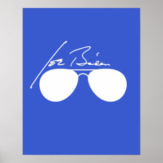 Affiche Joe Biden Aviateurs