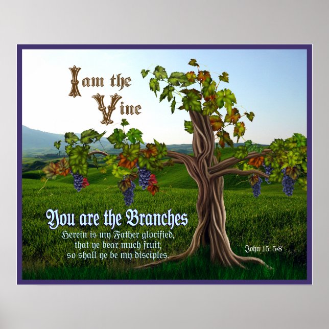 Affiche John 15 : 5-8 Écriture de la vigne de raisin (Devant)