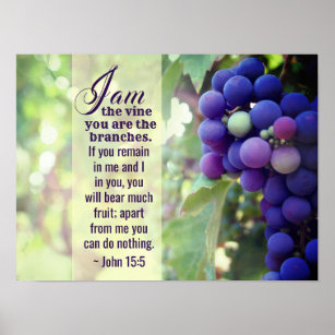 Affiche John 15:5 I Am the Vine You are the Branches Bible