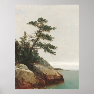 Affiche John Frederick Kensett Ancien paysage de pins Impr