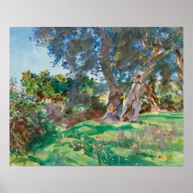 Affiche John Singer Sargent - Olive Trees, Corfou (Devant)