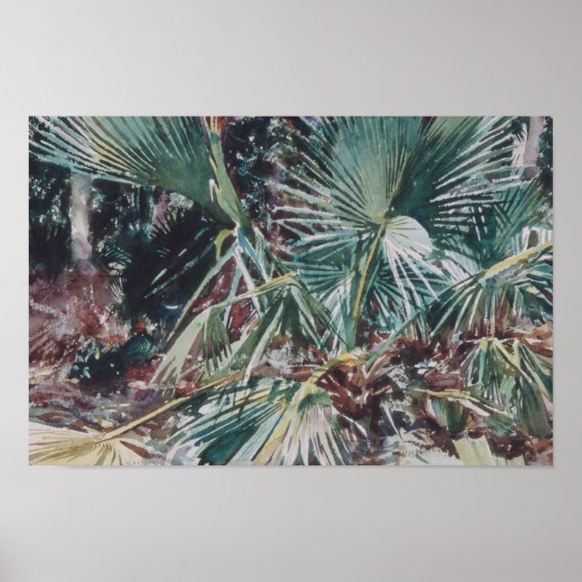 Affiche John Singer Sargent - Palmettos (Devant)
