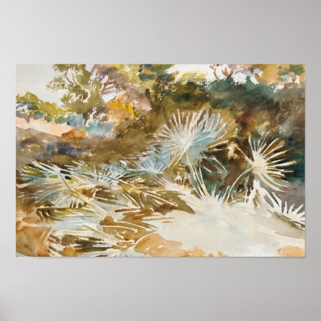Affiche John Singer Sargent - Paysage avec Palmettos (Devant)