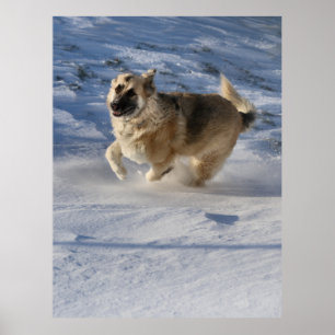 Affiche Joie au mouvement