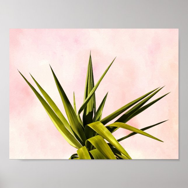 Affiche Joie des rêves (Devant)