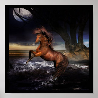 Affiche Joie pure....