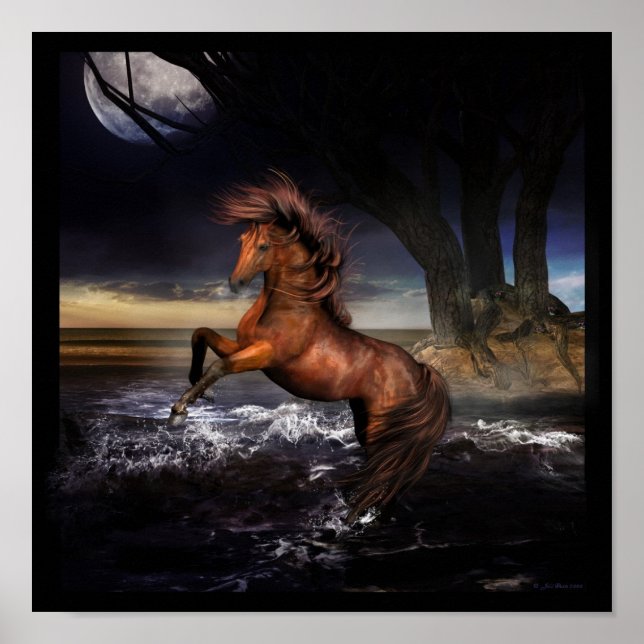 Affiche Joie pure.... (Devant)