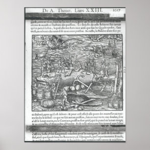 Affiche Joindre une baleine