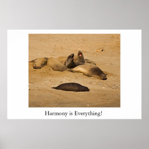 Affiche Joints d'éléphant de la Californie du nord