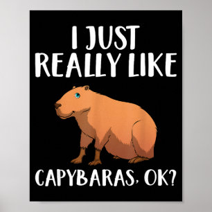 Affiche Joli Art De Capybara Pour Hommes Femmes Enfants An