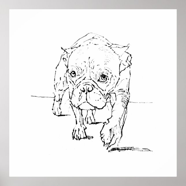 Affiche Joli Bouledogue Français, Illustration de Chien (Devant)