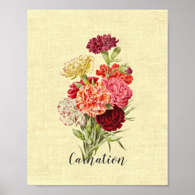 Affiche Joli Bouquet Carnation Vintage (Devant)