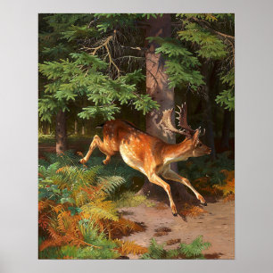 Affiche Joli Cerf Rouge Dans La Forêt