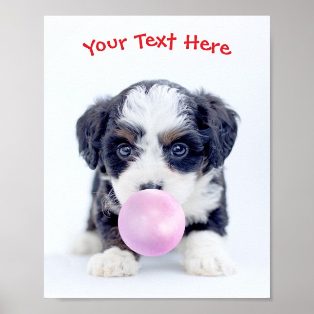 Affiche Joli Chien, Bulle de Chewing-Gum, Nom ou Message (Devant)