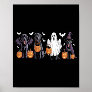 Affiche Joli chien Labrador noir Halloween citrouille Labr
