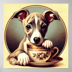 Affiche Joli chiot Whippet