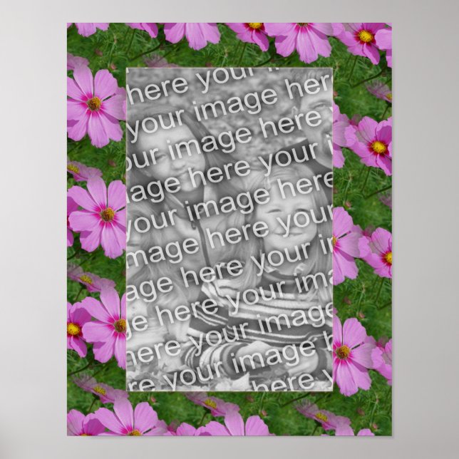 Affiche Joli Cosmos rose Fleur Design Cadre Photo (Devant)