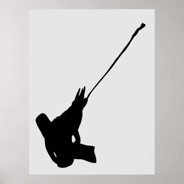 Affiche Joli coup ! Silhouette Chameleon de Jackson (Devant)