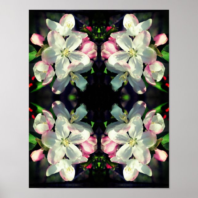 Affiche Joli Crabapple Fleur Blossoms Abstraits encadrés (Devant)