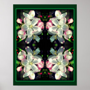 Affiche Joli Crabapple Fleur de printemps fleurit Abstrait