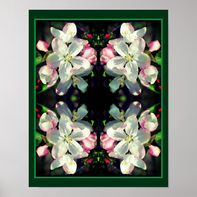 Affiche Joli Crabapple Fleur de printemps fleurit Abstrait (Devant)