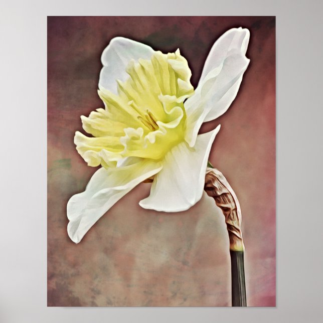 Affiche Joli Daffodique Fleur Photographie Imprimer (Devant)