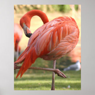 Affiche Joli en rose