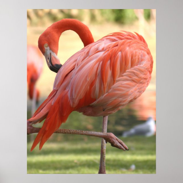 Affiche Joli en rose (Devant)