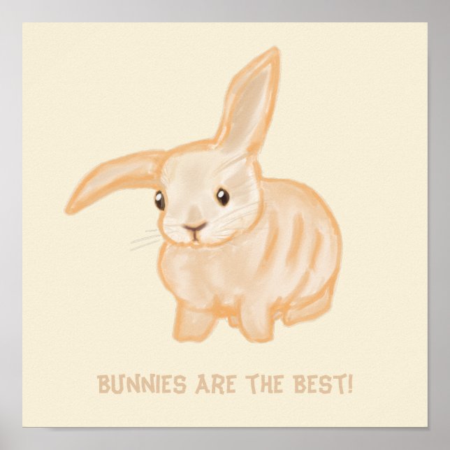 Affiche Joli lapin lapin Brown - transparent sur beige. (Devant)