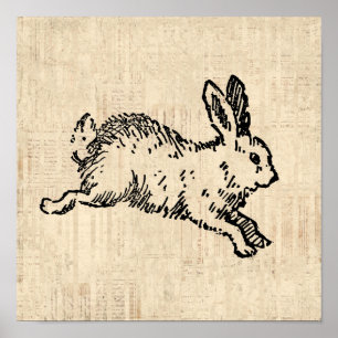 Affiche Joli lapin Lapin Vintage Illustration Script Art