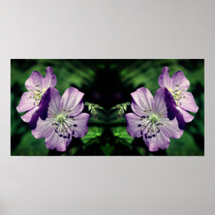 Affiche Joli Miroir de paire de fleurs de géranium violet 
