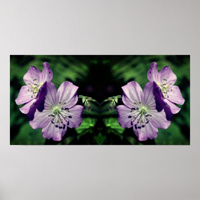 Affiche Joli Miroir de paire de fleurs de géranium violet  (Devant)