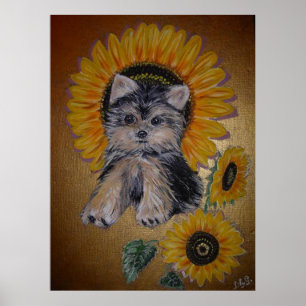 Affiche Joli petit chien et tournesols