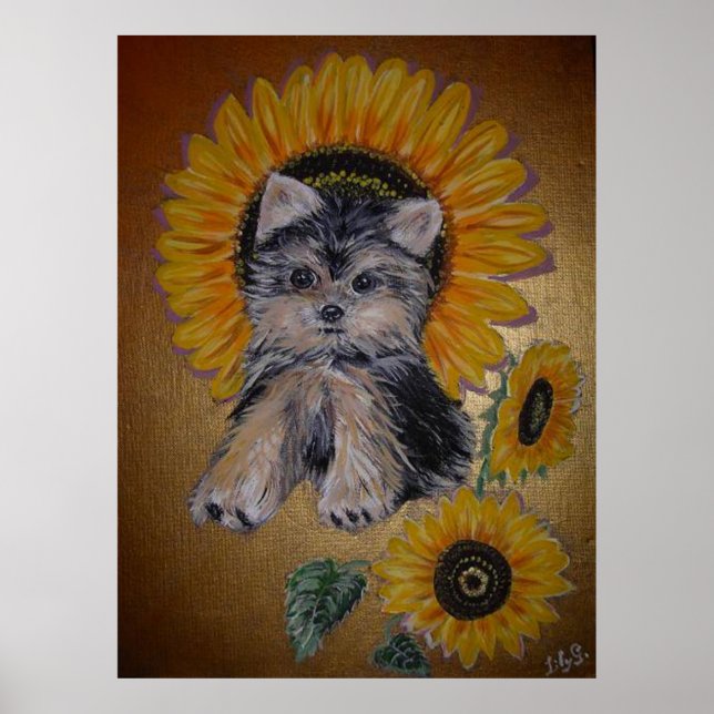 Affiche Joli petit chien et tournesols (Devant)