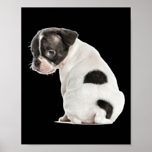 Affiche Joli Petit Chien Sleepy Chien Face Pour Amoureux d