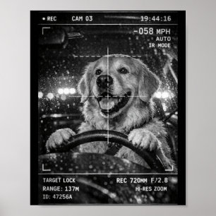 Affiche Joli retriever golden conduisant une voiture blagu