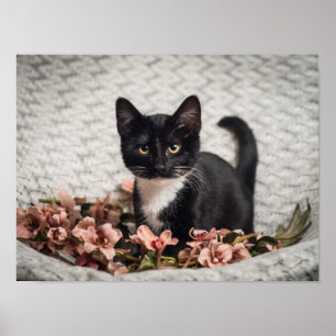 Affiche Joli Rose Bella