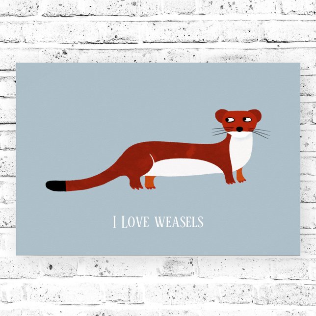 Affiche Joli Weasel (Weasel fun poster)