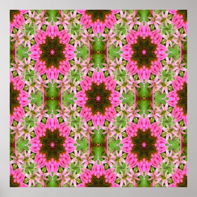 Affiche Jolie Echanicea...... (Devant)