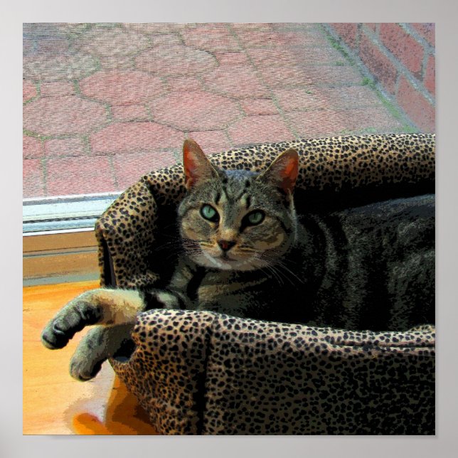 Affiche Jolie fille Indigo CB (Devant)