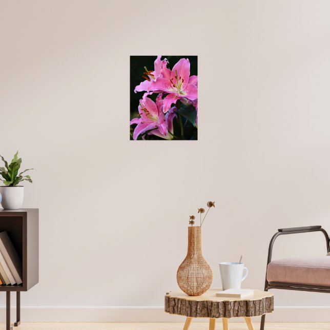 Affiche Jolie Fleur de Lys Rose Fleurit Floral (Salon 3)