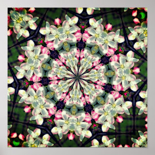 Affiche Jolie floraison printanière Fleur Art Abstrait