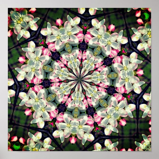 Affiche Jolie floraison printanière Fleur Art Abstrait (Devant)