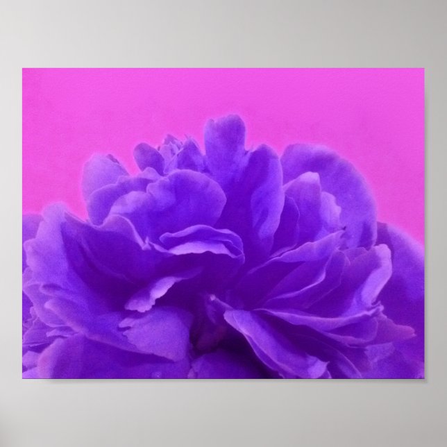 Affiche Jolie framboise violette Florale (Devant)