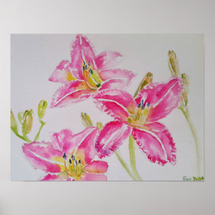 Affiche Jolie Lily Dans Pink Aquarelle Peinture Carte Post